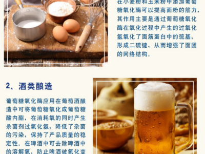 葡萄糖氧化酶 高活力 酶制剂 面制品 啤酒等行业酶图1