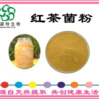 红茶菌提取物 红茶菌多糖30% 速溶红茶菌 红茶粉 包邮