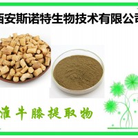 淮牛膝粉 淮牛膝萃取粉 斯诺特生物 厂家