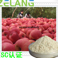 苹果浓缩粉，苹果粉，压片糖果ODM代加工，江苏南京SC认证