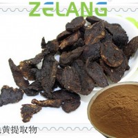 熟地提取物Ripe Extract