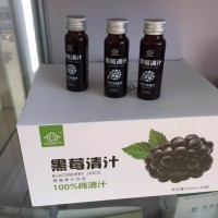 黑莓绿茶复合饮品ODM