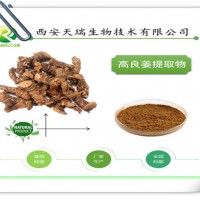 高良姜提取物 10:1天瑞生物厂家包邮