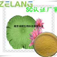 荷叶浓缩粉，代加工荷叶固体饮料