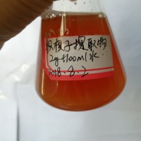 枳椇子速溶粉，枳椇子粉