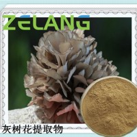 灰树花提取物，灰树花浓缩粉，代加工灰树花固体饮料，液体饮料