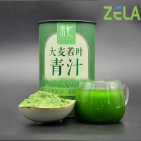 ODM大麦若叶青汁粉