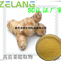 高良姜提取物，代加工压片糖果，液体饮料