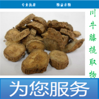 川牛膝肽厂家供应川牛膝小分子肽川牛膝低聚肽