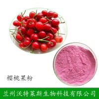 樱桃 樱桃粉 樱桃汁粉 批发供应