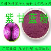 紫甘蓝粉 紫甘蓝提取物10:1 紫甘蓝速溶粉