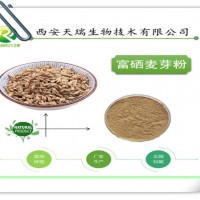 麦芽提取物10:1 天瑞生物 厂家供应