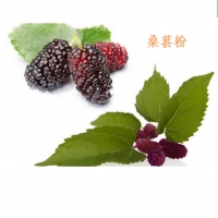 桑葚提取物 厂家供应 包邮