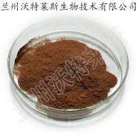 小白菊浸膏粉  产品  现货供应  包邮