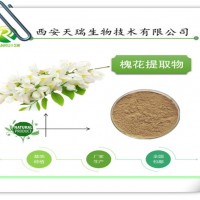 槐花提取物 厂家供应 现货