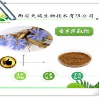 菊苣提取物10:1厂家供应