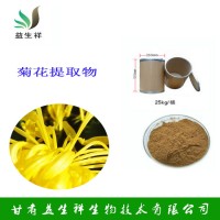 菊花提取物   菊花黄铜   包邮