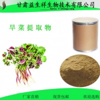 旱菜提取物 旱菜浓缩汁粉  一公斤起订