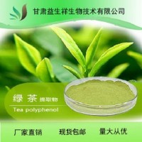 绿茶提取物 10:1 绿茶茶多酚