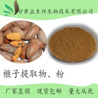 榧子提取物  香榧干果提取物 榧子萃取粉
