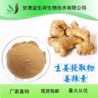 生姜提取物 10:1 生姜速溶粉 生姜浓缩粉 生姜浸膏粉