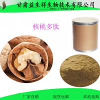 核桃肽粉 核桃小分子低脂肽粉 核桃饼粕提取物