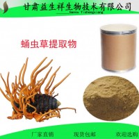 蛹虫草提取物 虫草素98%   一公斤起订