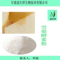 雪梨粉  雪梨速溶粉    一公斤起订