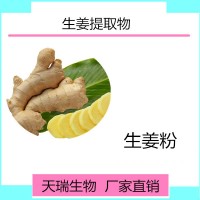 生姜浓缩粉 生姜速溶粉天瑞生物厂家