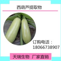 西葫芦籽提取物 西葫芦籽粉 天瑞生物厂家现货