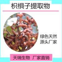 拐枣提取物 10:1药食同源速溶粉