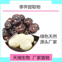 荸荠速溶粉 荸荠喷雾干燥粉天瑞生物厂家现货