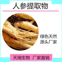 人参提取物  人参皂甙80%现货