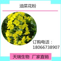 油菜花提取物10:1