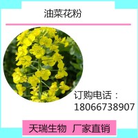 油菜花提取物10:1