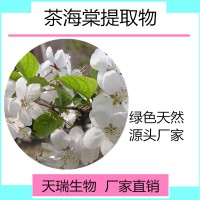 茶海棠粉10:1 海棠叶粉现货厂家