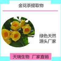 金花茶提取物10:1 金花茶粉新资源食品原料