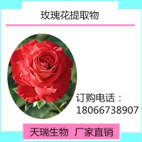 玫瑰花浓缩汁粉 玫瑰花粉10:1水溶性好