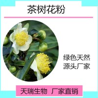 茶树花浓缩粉 10:1 茶树花提取物粉现货厂家