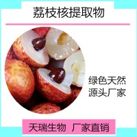 荔枝速溶粉 荔枝果汁粉全水溶饮料原料