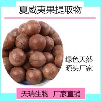 夏威夷果提取物 夏威夷果粉天瑞生物五谷杂粮粉