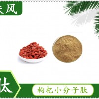 枸杞小分子肽现货供应