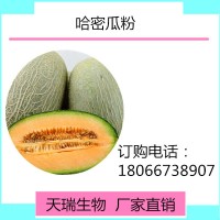 哈密瓜粉 哈密瓜果粉宁夏基地种植天瑞生物厂家现货
