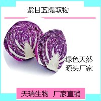 紫甘蓝提取物 紫甘蓝速溶粉天瑞生物厂家