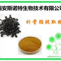 补骨脂提取物 20:1 现货供应中