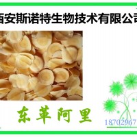 东革阿里粉 东革阿里萃取粉 供应 sinuote