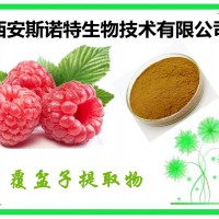 覆盆子提取物 10:1  现货供应