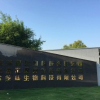 桑叶液体饮品ODM，水浴灭菌