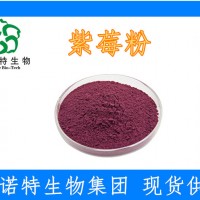 紫莓粉又叫黑加仑粉（黑穗醋栗粉）99%榨汁浓缩 水溶性