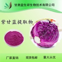 紫甘蓝提取物 紫甘蓝花青素 花青素